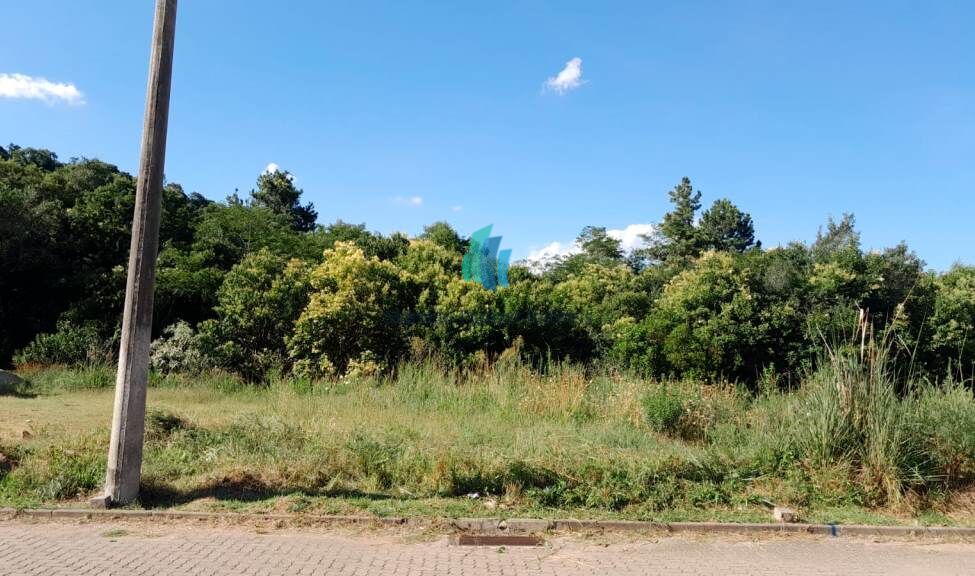 Terreno, 150 m² - Foto 3