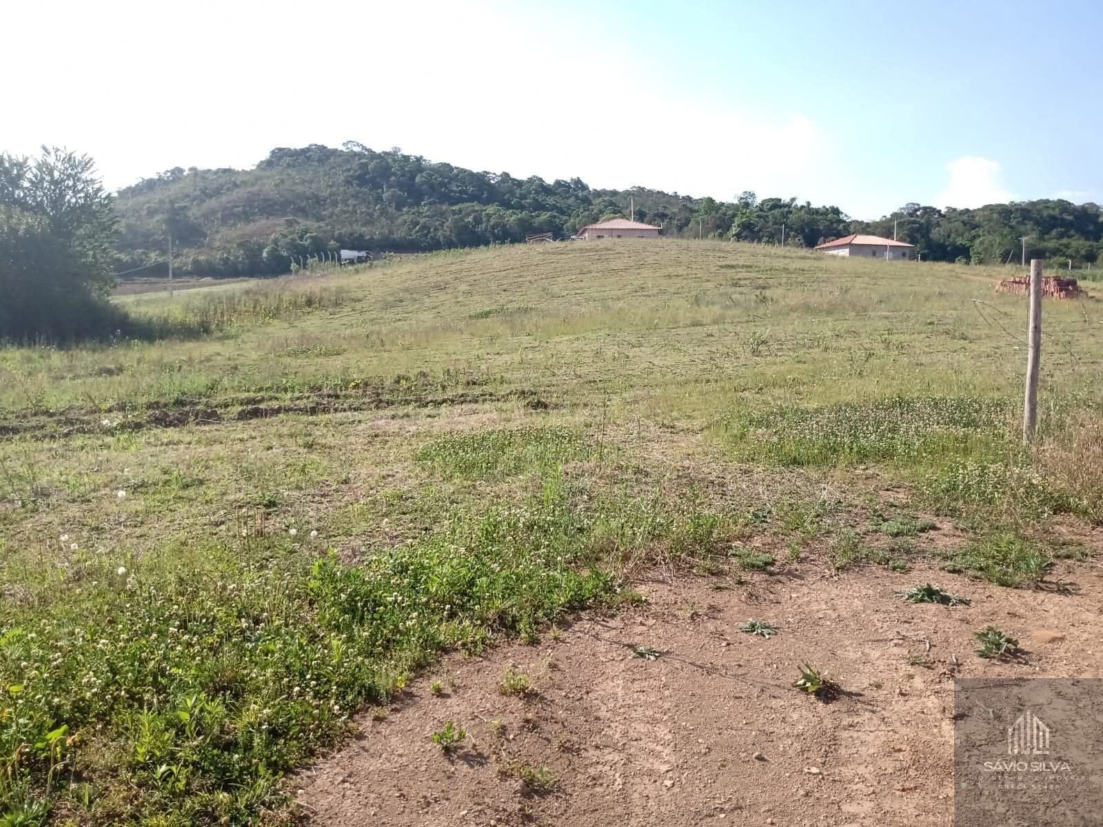 Sítio, 3 quartos, 1286 m² - Foto 8