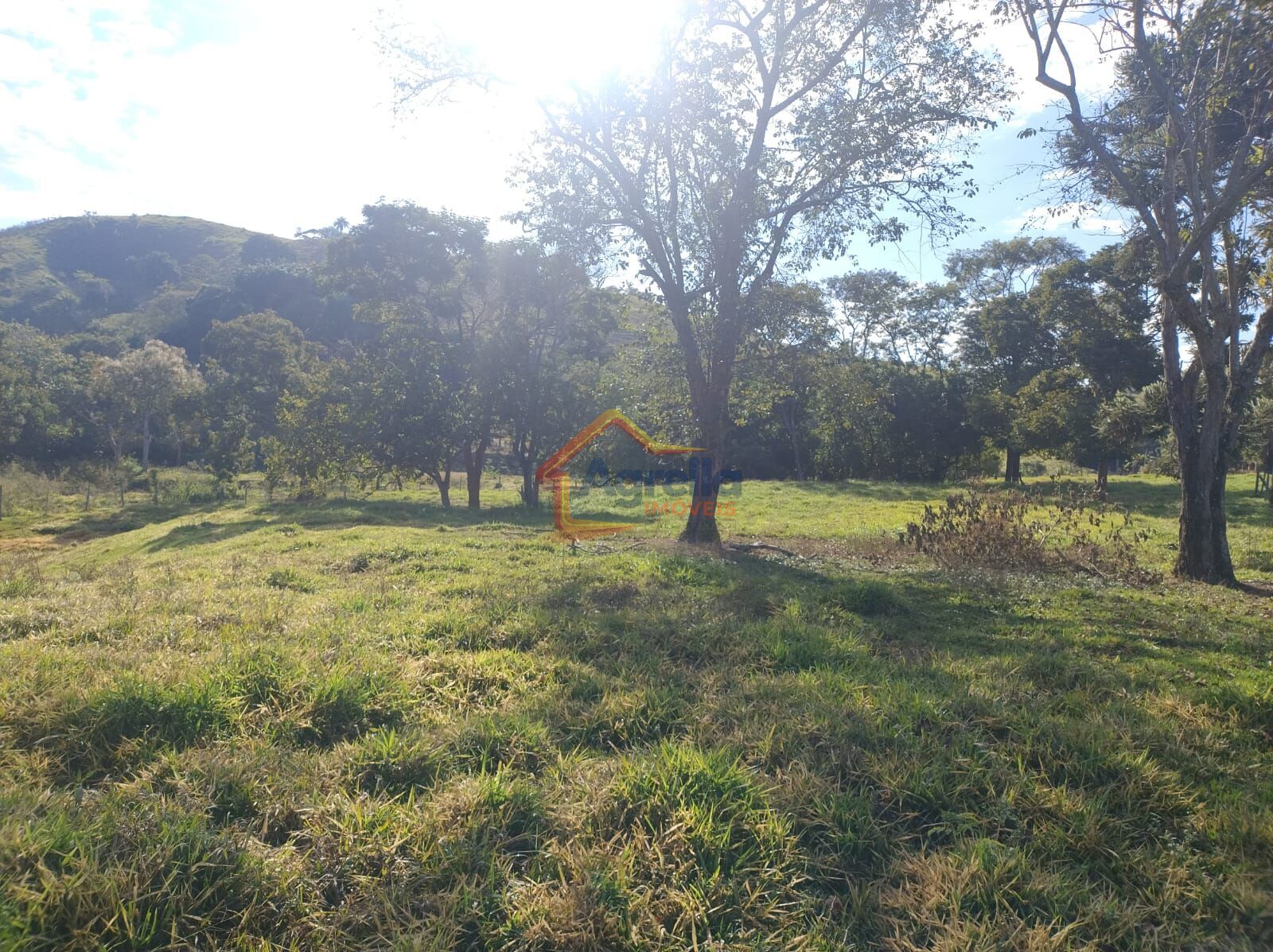 Sítio, 3 quartos, 12 hectares - Foto 41