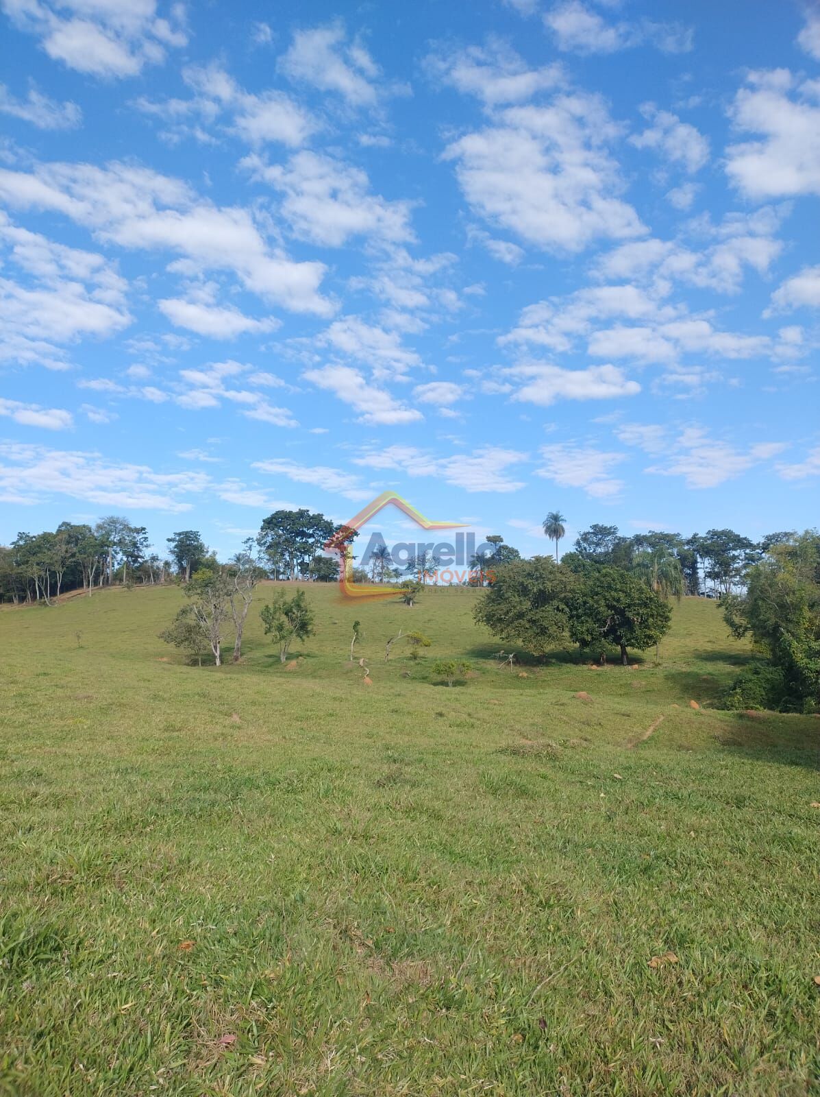 Sítio, 3 quartos, 12 hectares - Foto 38