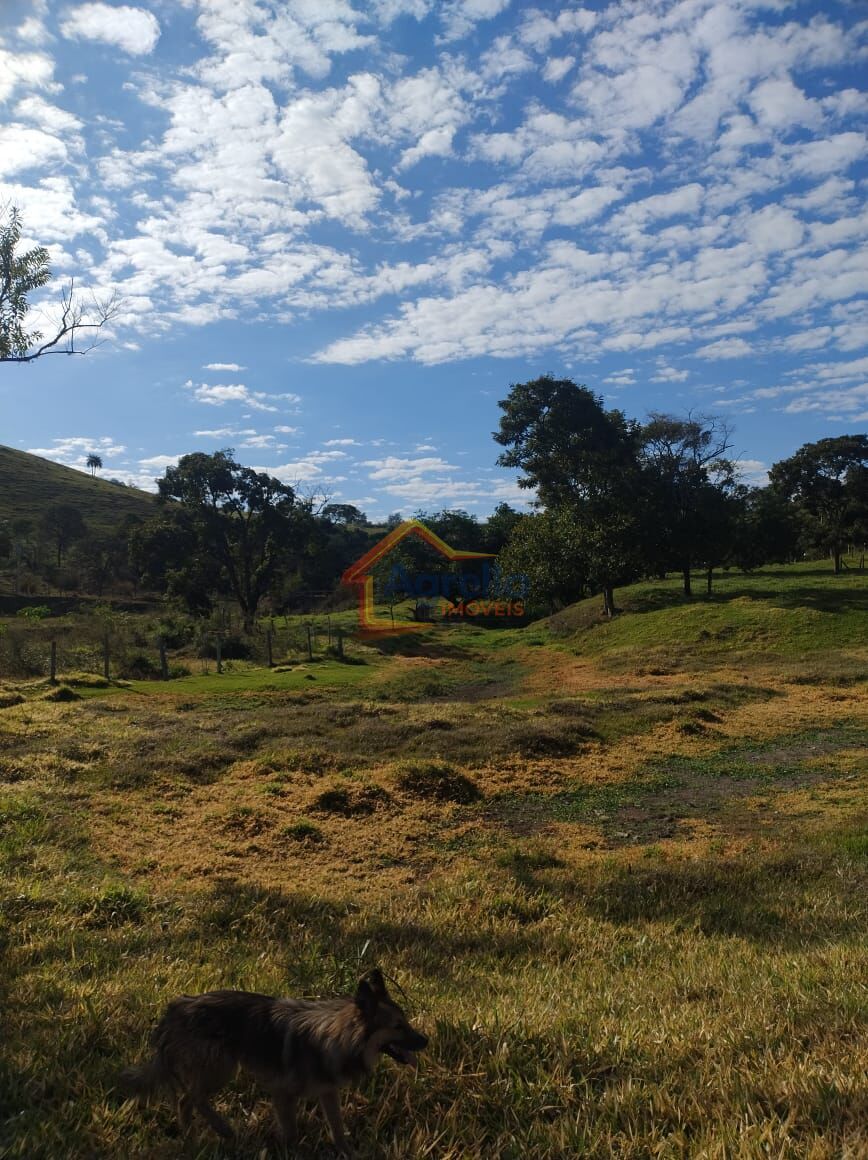 Sítio, 3 quartos, 12 hectares - Foto 20