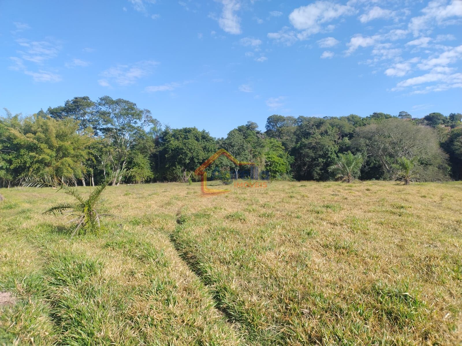 Sítio, 3 quartos, 12 hectares - Foto 22