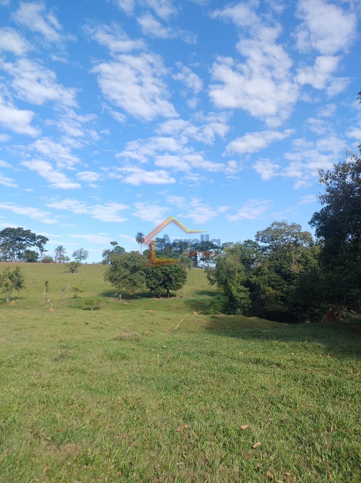 Sítio, 3 quartos, 12 hectares - Foto 25