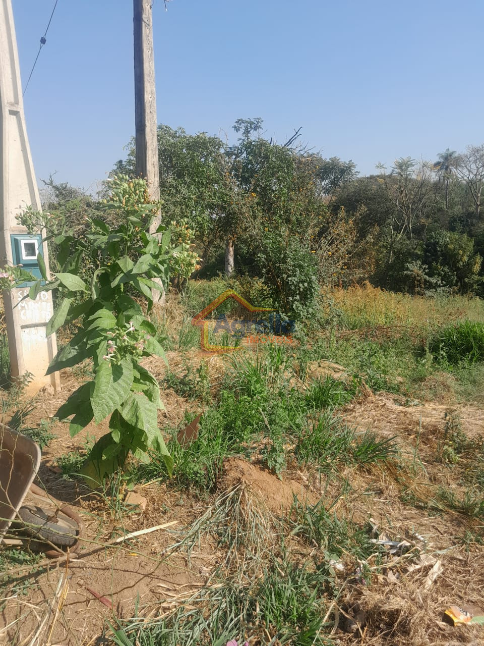 Chácara, 1 quarto, 18 hectares - Foto 17