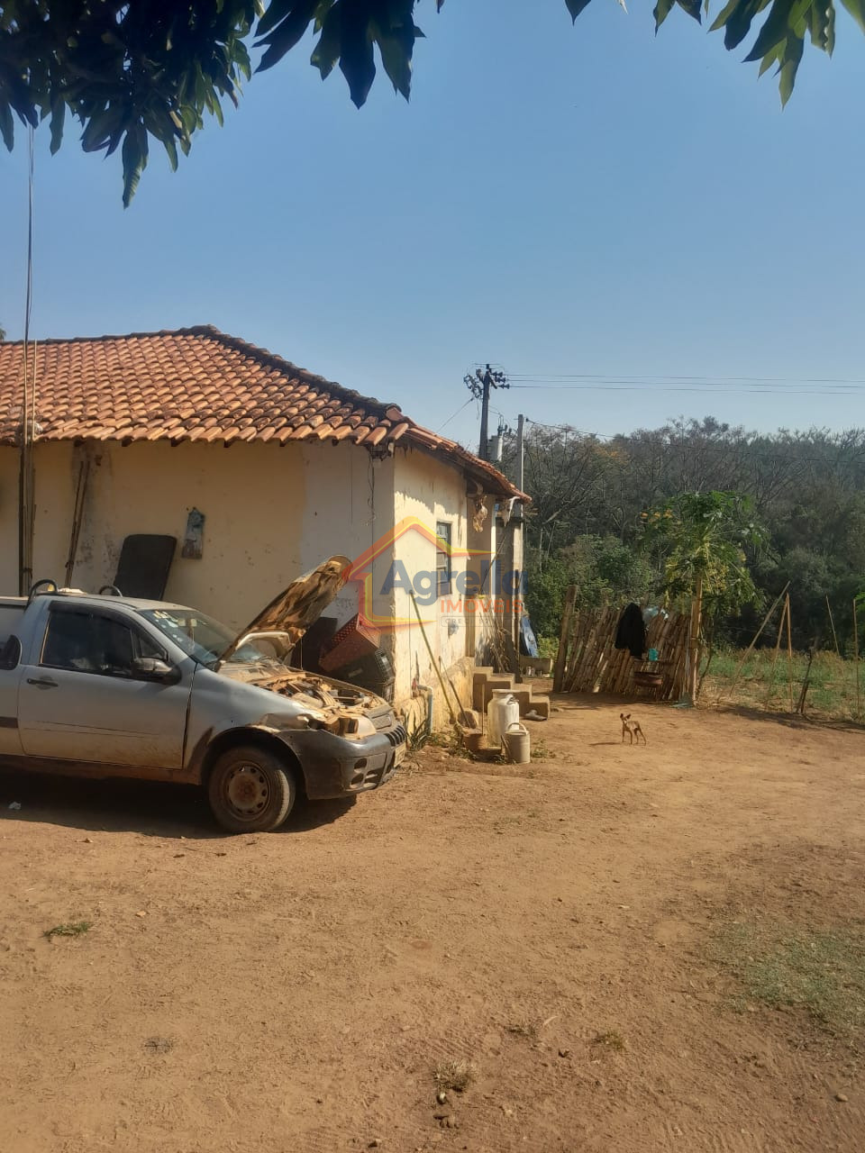Chácara, 1 quarto, 18 hectares - Foto 19