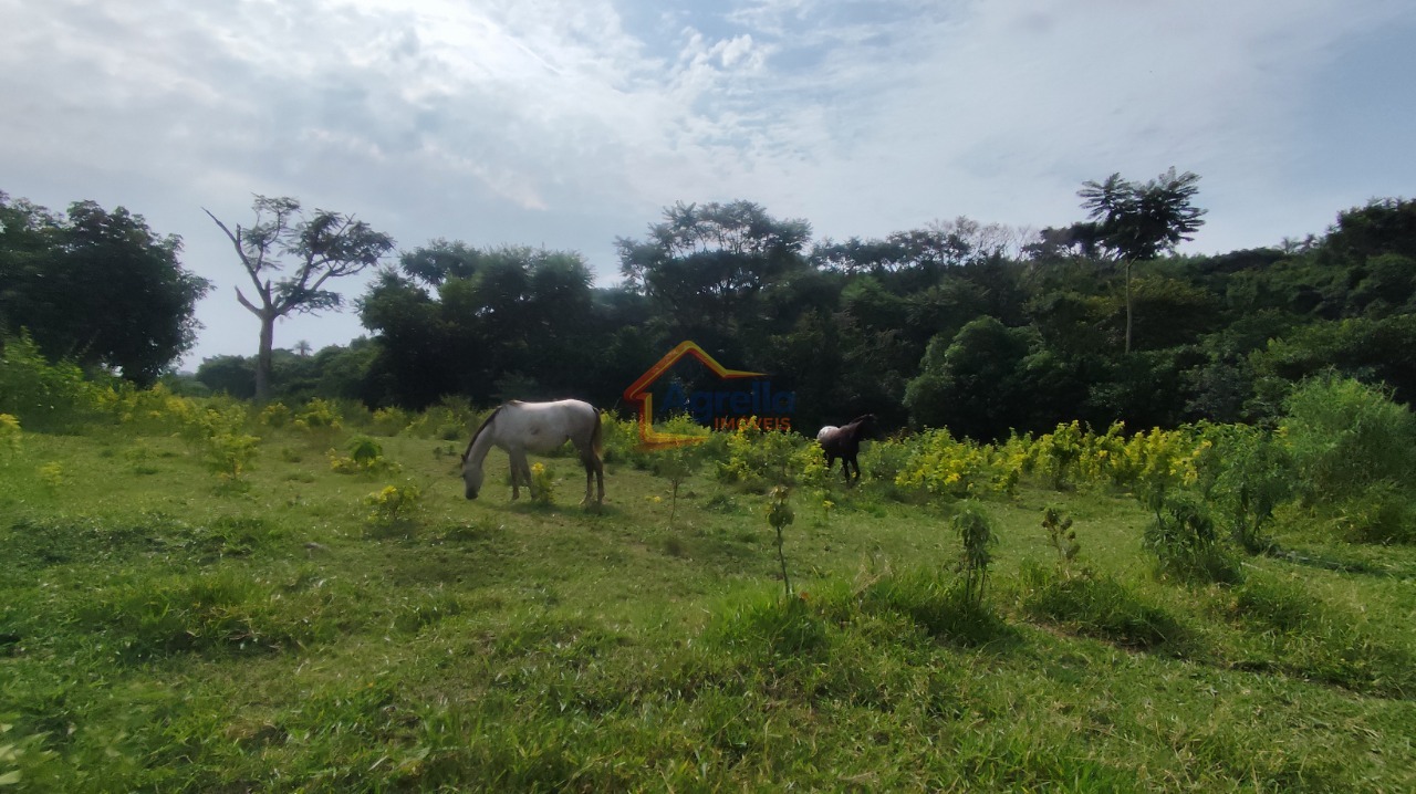 Chácara, 1 quarto, 18 hectares - Foto 49