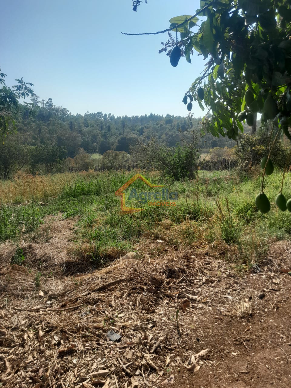 Chácara, 1 quarto, 18 hectares - Foto 20