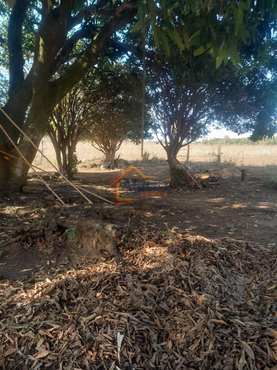Chácara, 1 quarto, 18 hectares - Foto 11