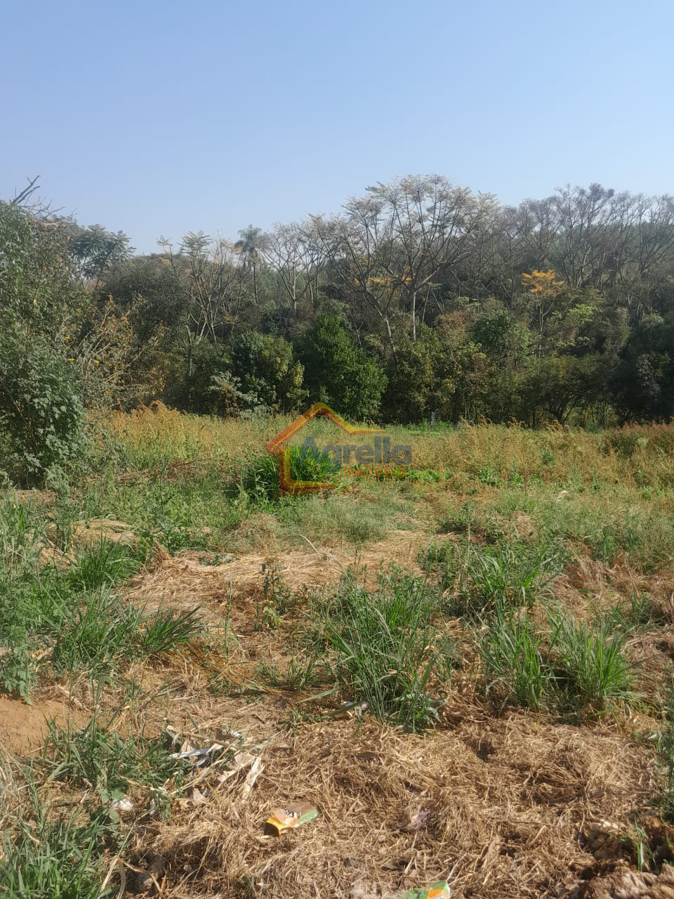 Chácara, 1 quarto, 18 hectares - Foto 16