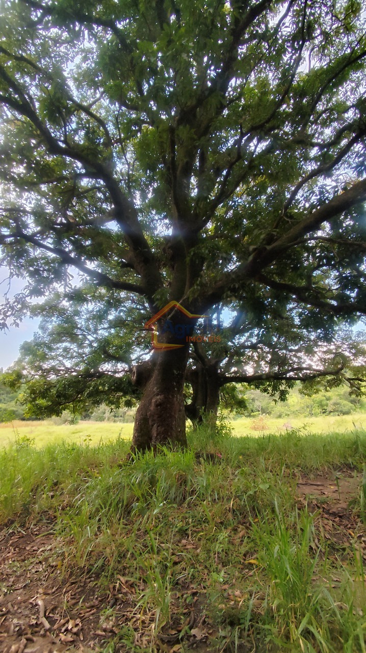 Chácara, 1 quarto, 18 hectares - Foto 27