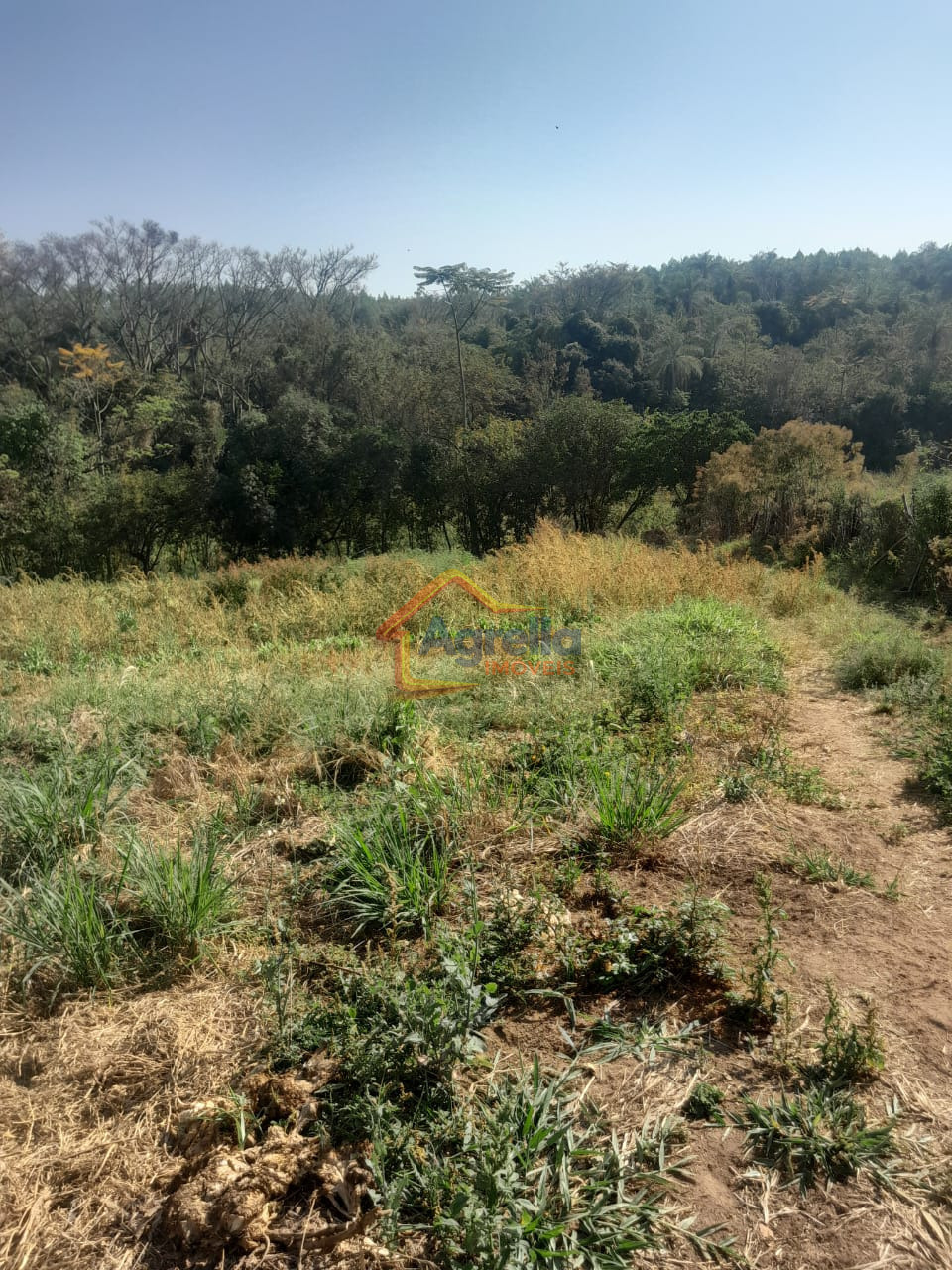 Chácara, 1 quarto, 18 hectares - Foto 15