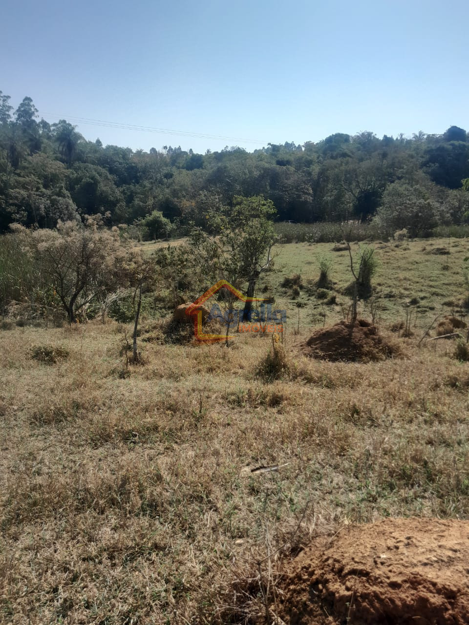 Chácara, 1 quarto, 18 hectares - Foto 22