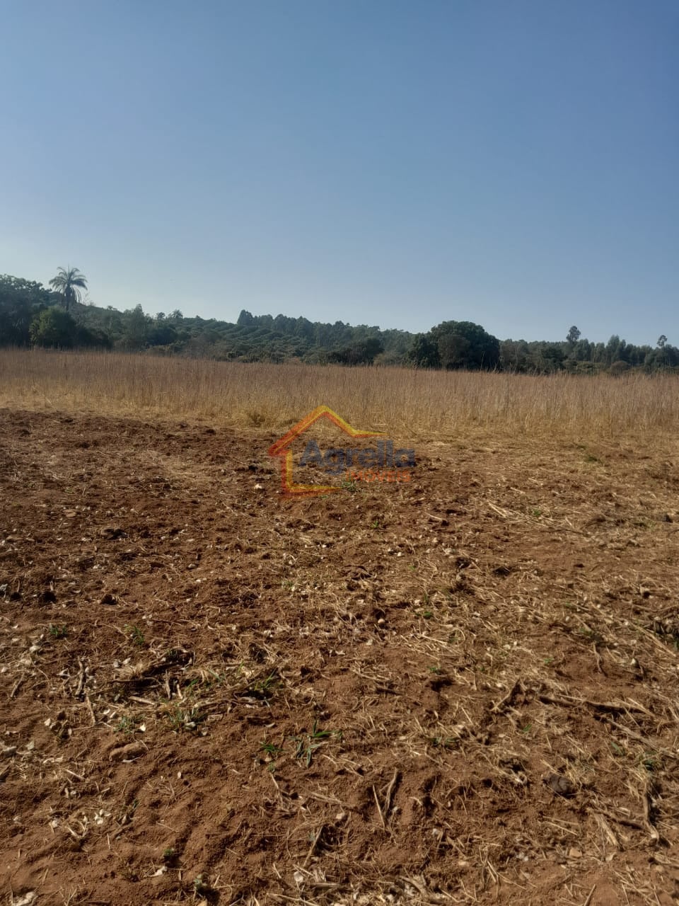 Chácara, 1 quarto, 18 hectares - Foto 6