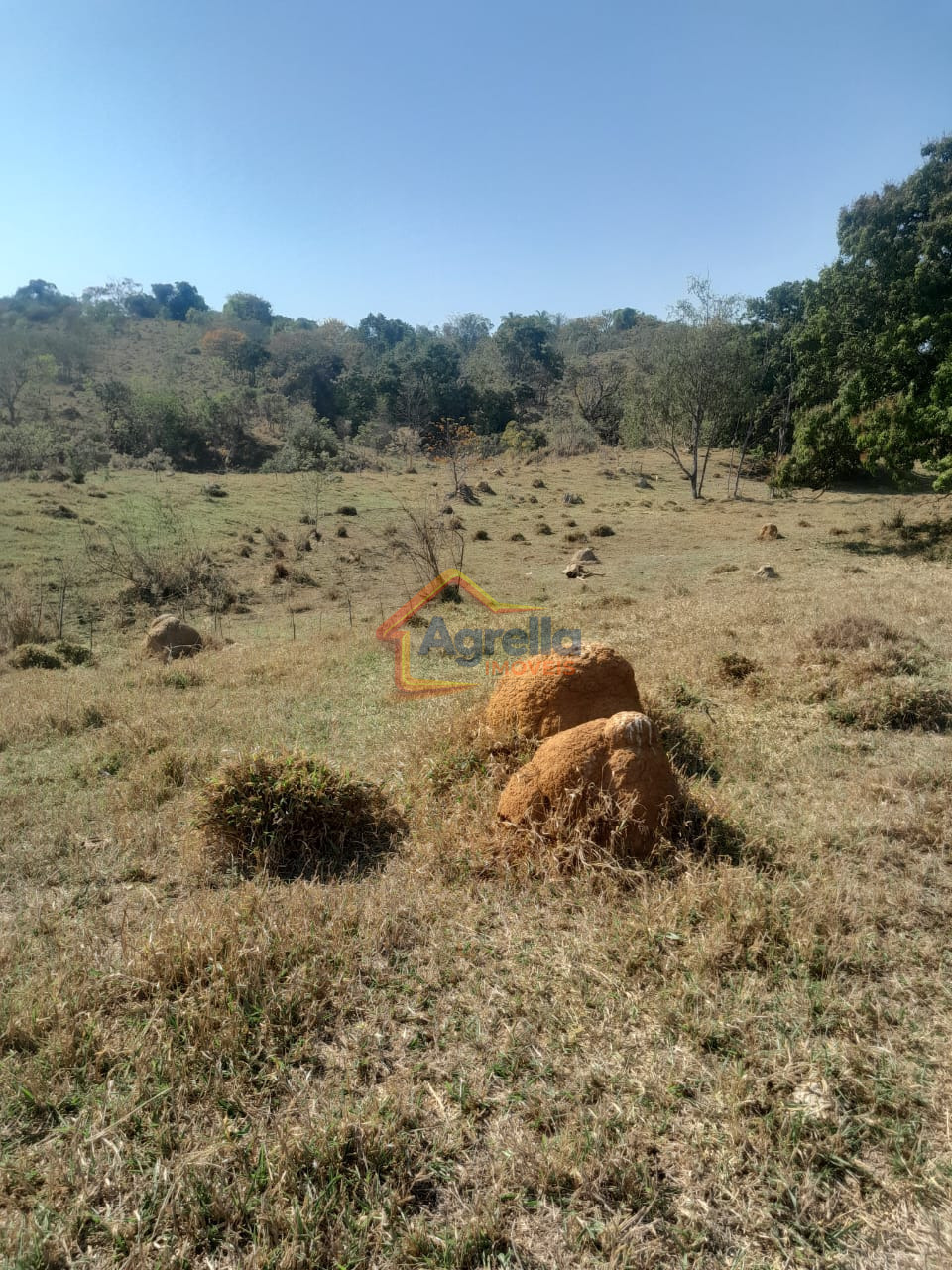 Chácara, 1 quarto, 18 hectares - Foto 26