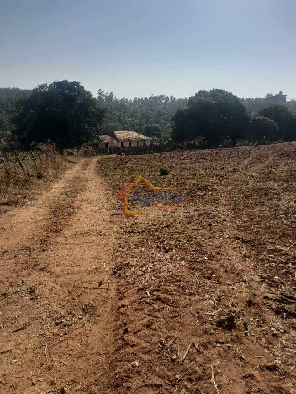 Chácara, 1 quarto, 18 hectares - Foto 13