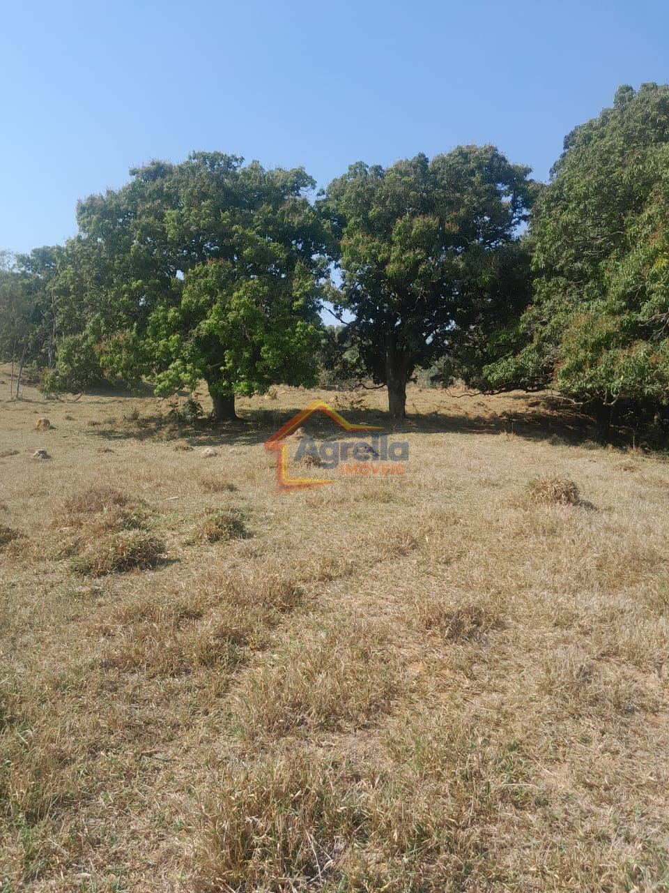 Chácara, 1 quarto, 18 hectares - Foto 25