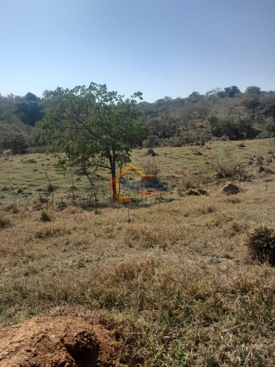 Chácara, 1 quarto, 18 hectares - Foto 23