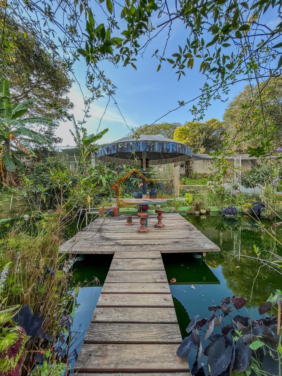 Sítio, 2 quartos, 3000 m² - Foto 3