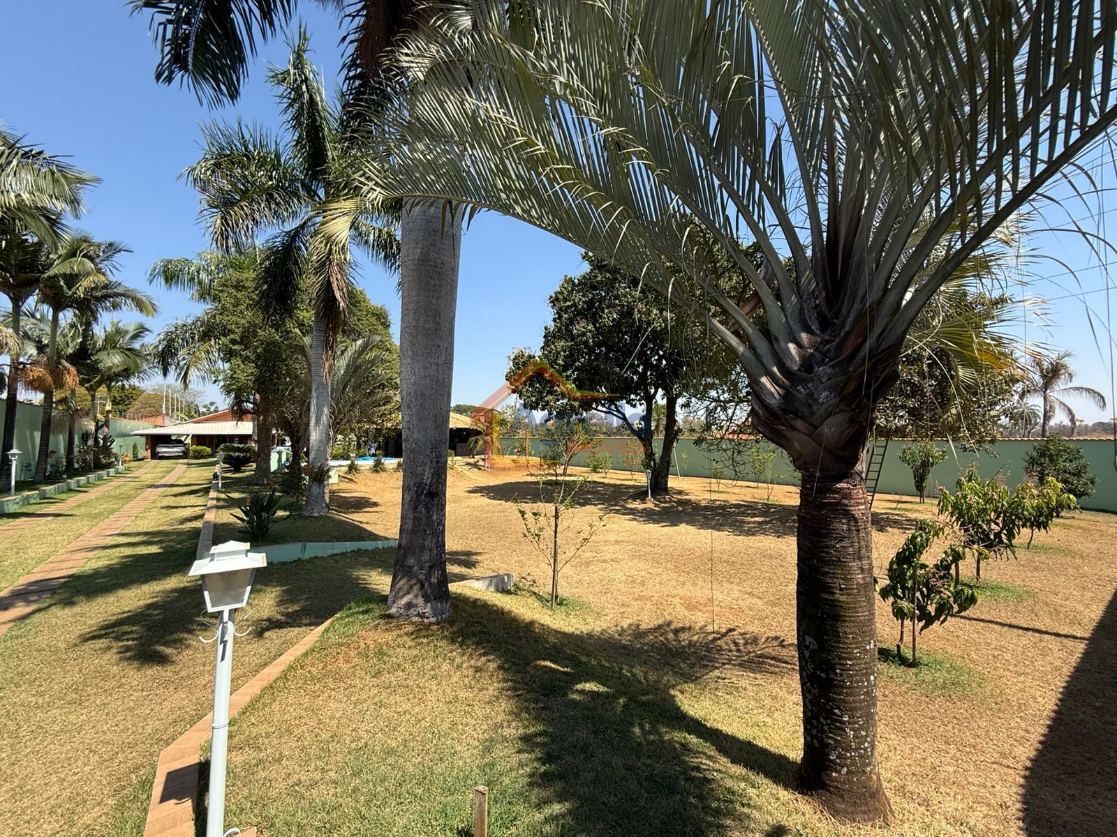 Sítio, 3 quartos, 2550 m² - Foto 2
