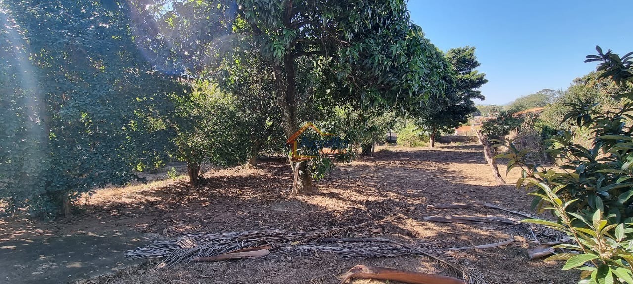 Sítio, 3 quartos, 6500 m² - Foto 30