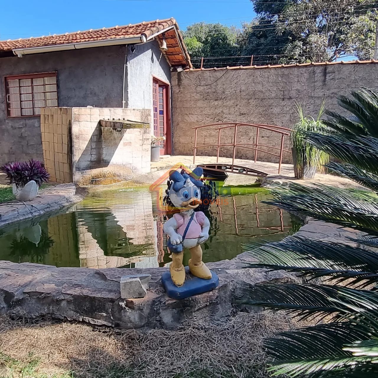 Sítio, 3 quartos, 6500 m² - Foto 9