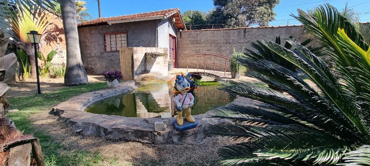 Sítio, 3 quartos, 6500 m² - Foto 19