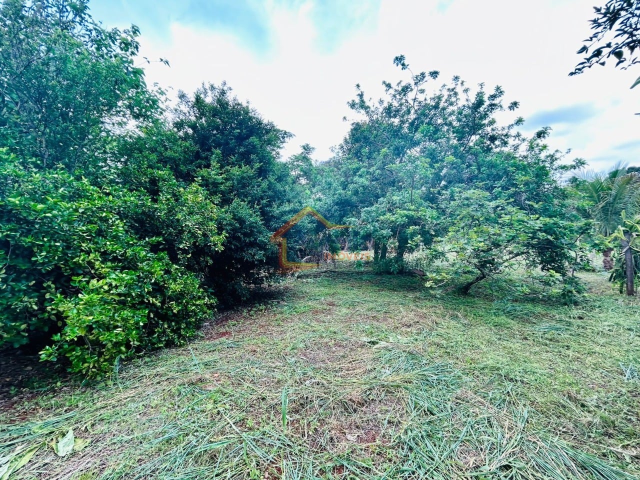 Sítio, 1 quarto - Foto 4