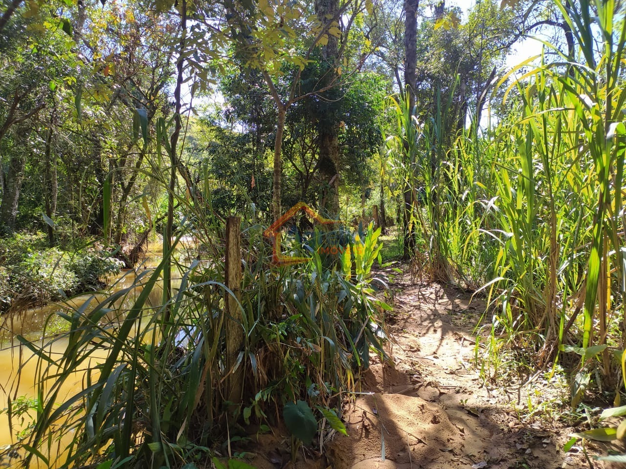 Chácara, 5 quartos, 2 hectares - Foto 28