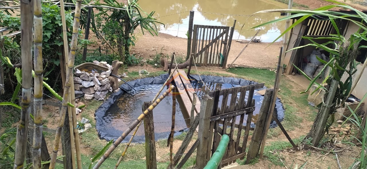 Chácara, 5 quartos, 2 hectares - Foto 46