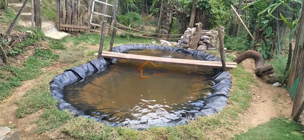 Chácara, 5 quartos, 2 hectares - Foto 49