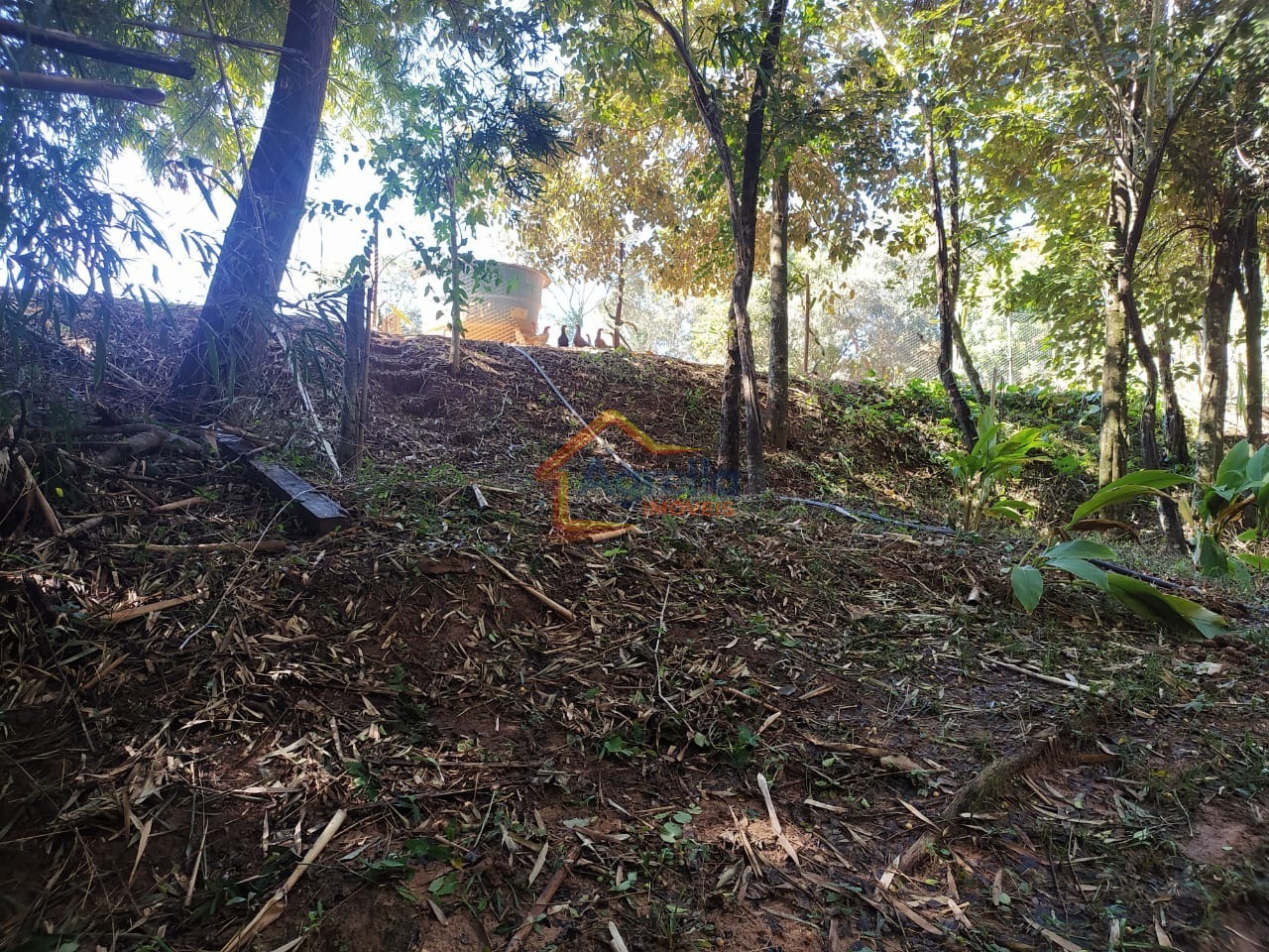 Chácara, 5 quartos, 2 hectares - Foto 37