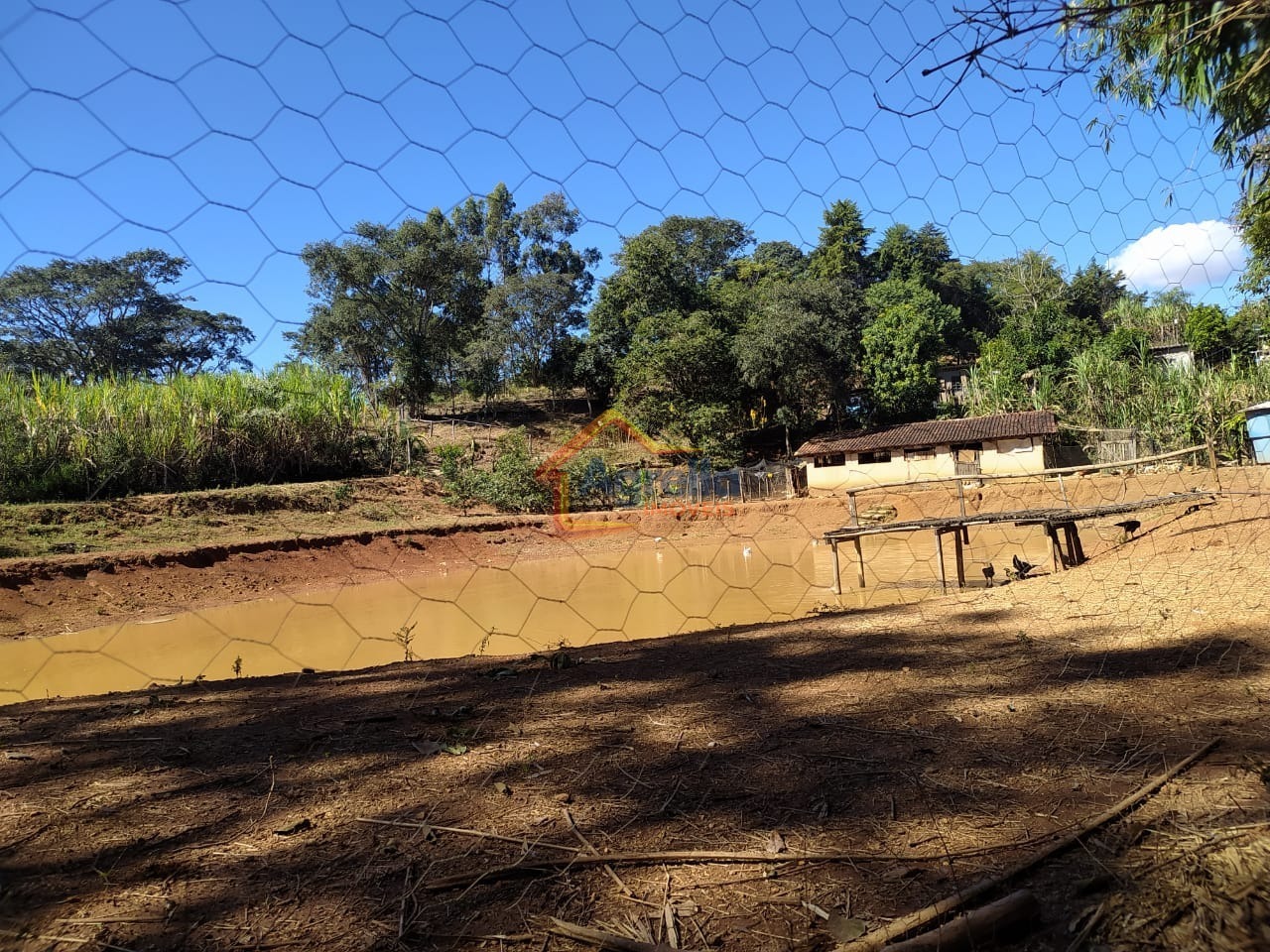 Chácara, 5 quartos, 2 hectares - Foto 29