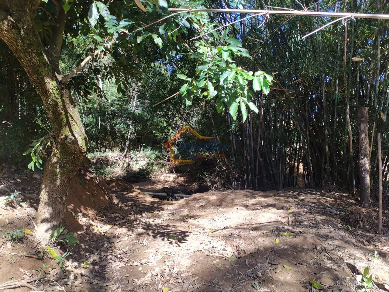 Chácara, 5 quartos, 2 hectares - Foto 34