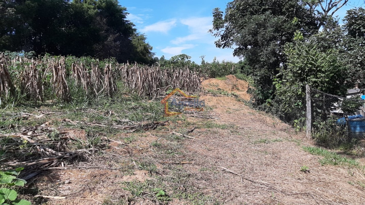 Chácara, 5 quartos, 2 hectares - Foto 44
