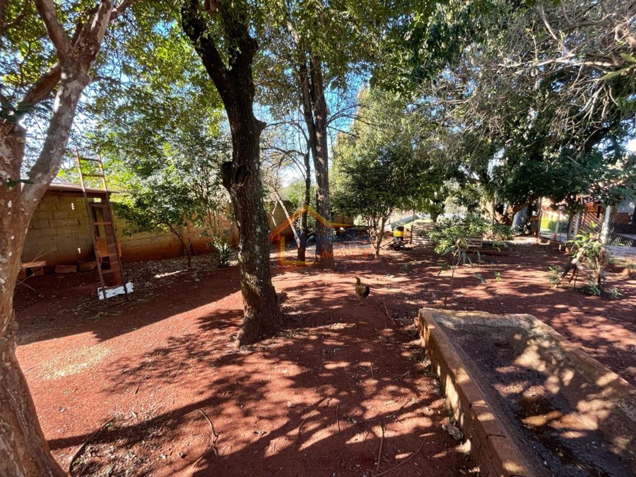 Sítio, 5 quartos, 620 m² - Foto 42