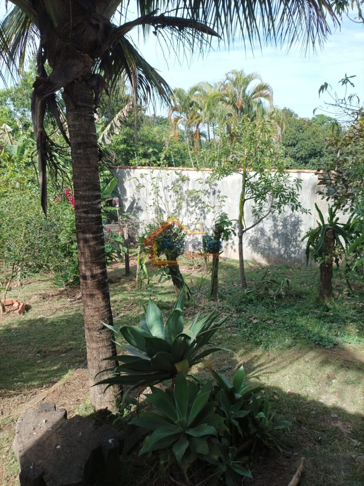 Sítio, 4 quartos, 1400 m² - Foto 14