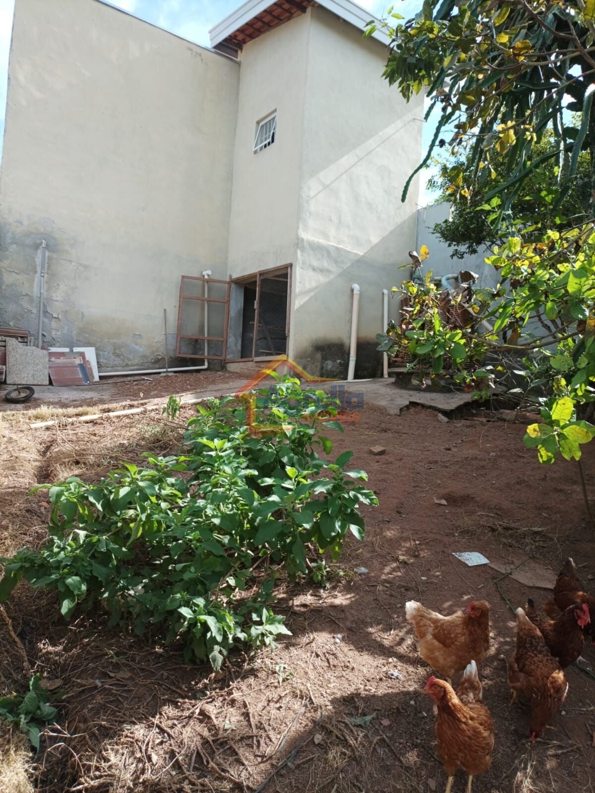 Sítio, 4 quartos, 1400 m² - Foto 16
