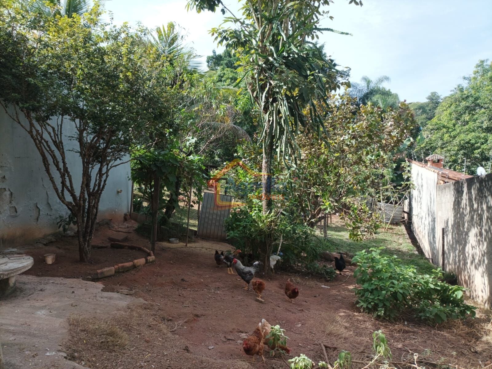 Sítio, 4 quartos, 1400 m² - Foto 10