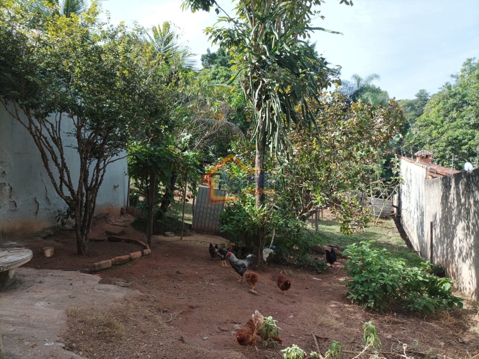 Sítio, 4 quartos, 1400 m² - Foto 20