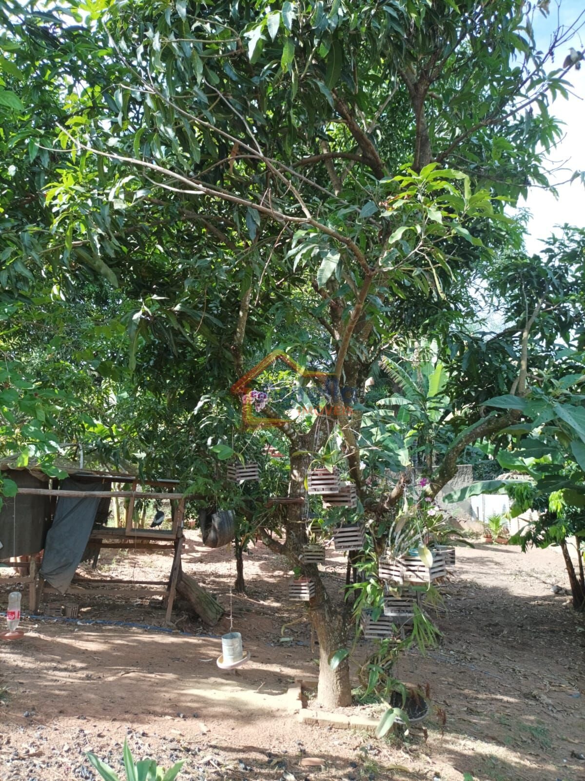 Sítio, 4 quartos, 1400 m² - Foto 18