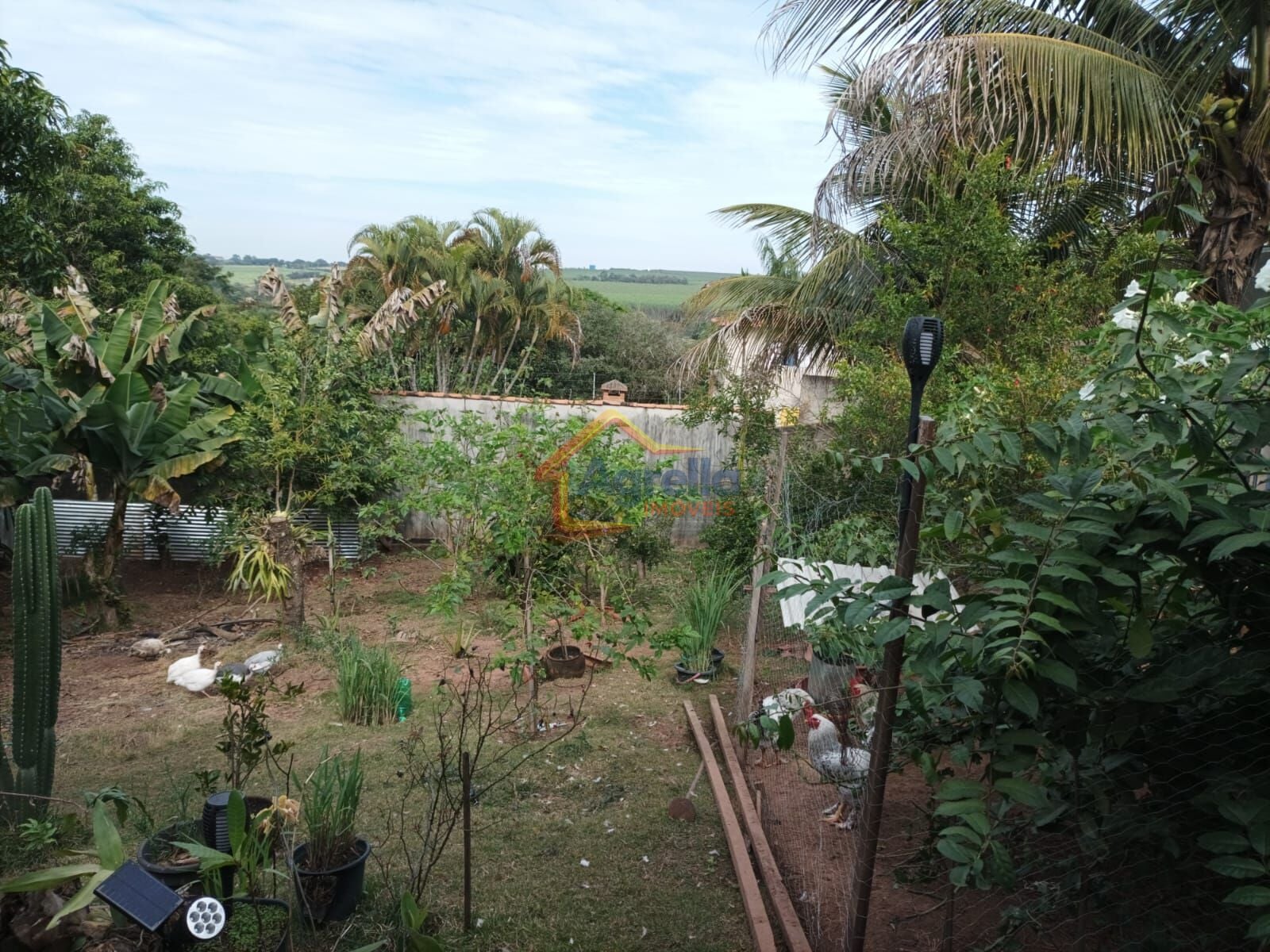 Sítio, 4 quartos, 1400 m² - Foto 26