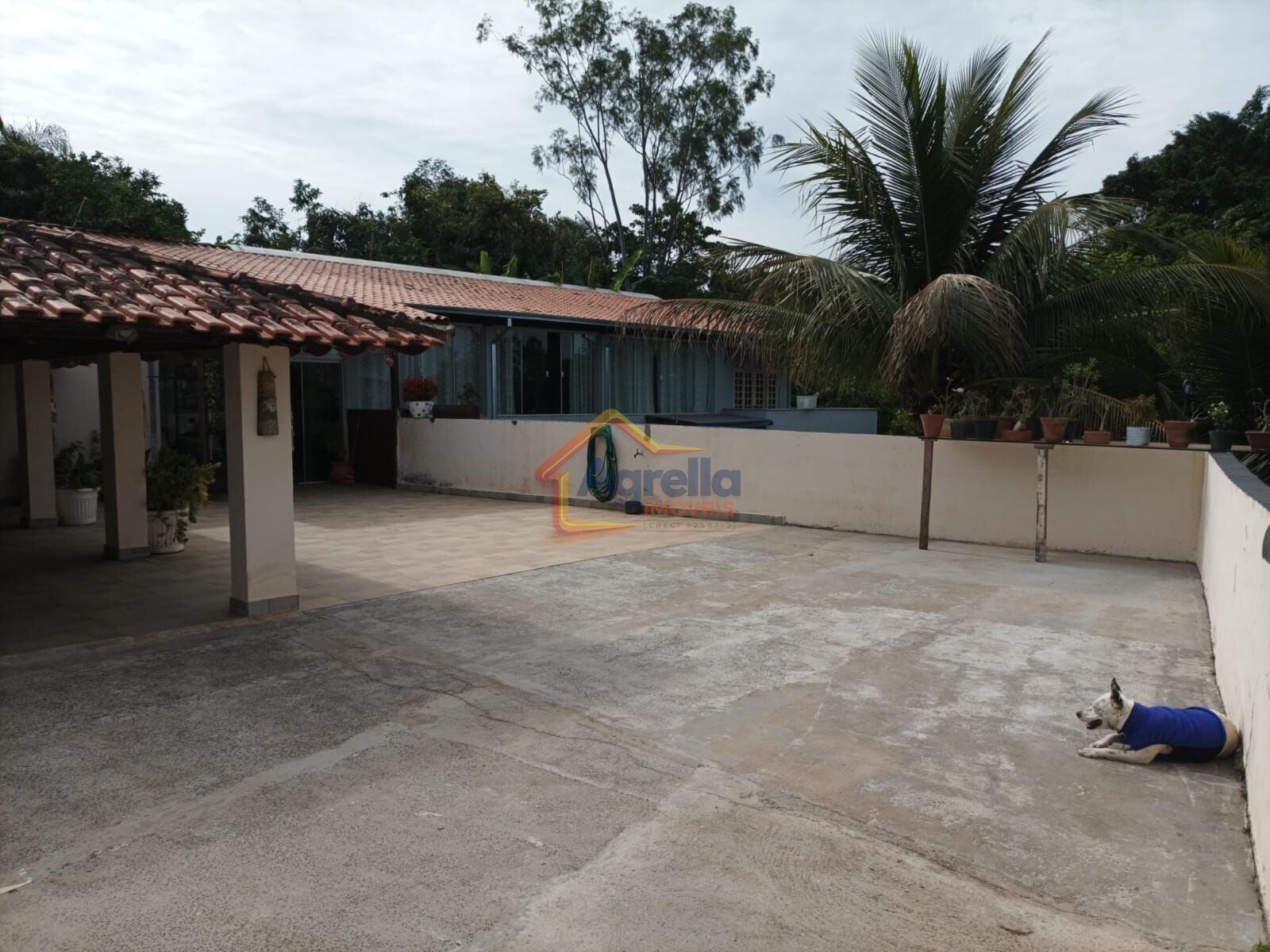Sítio, 4 quartos, 1400 m² - Foto 6
