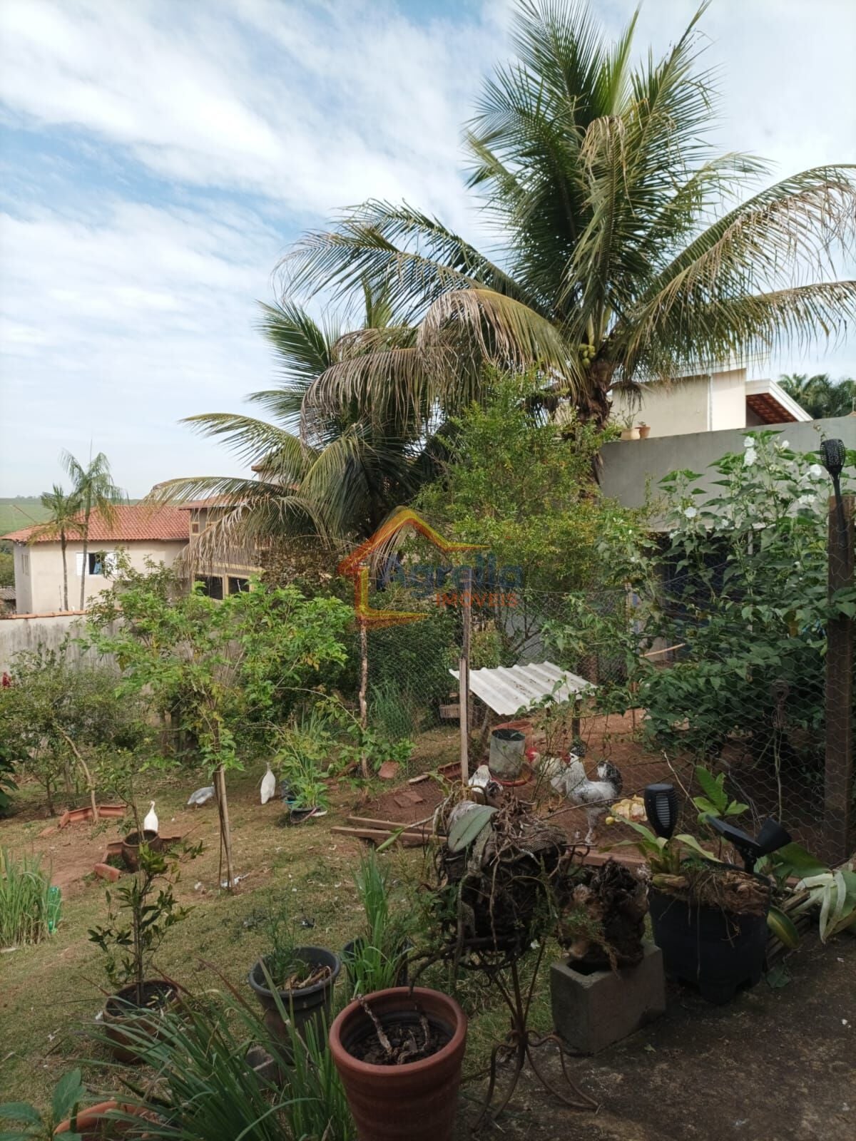 Sítio, 4 quartos, 1400 m² - Foto 31