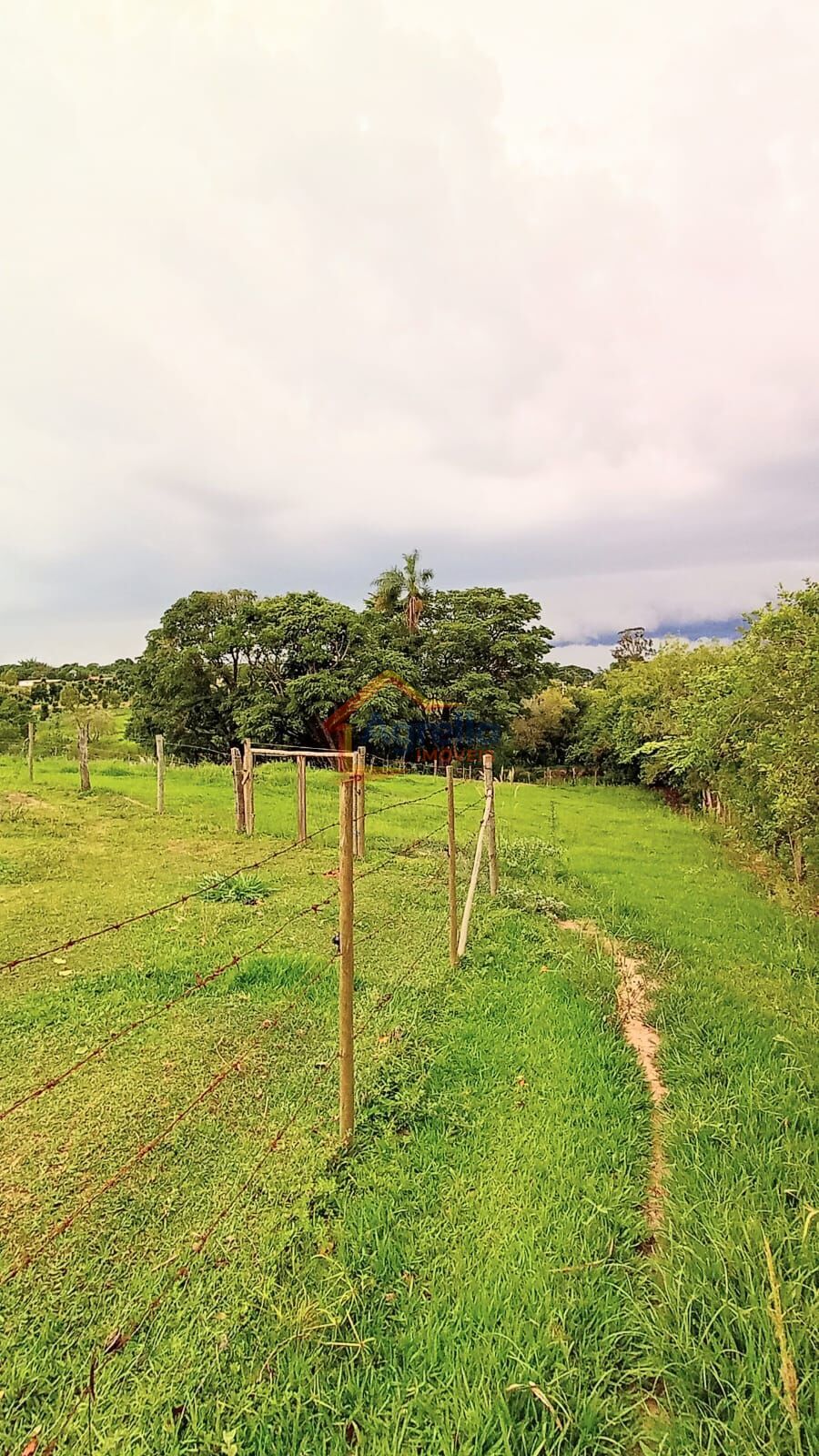 Chácara, 2 quartos, 2 hectares - Foto 40