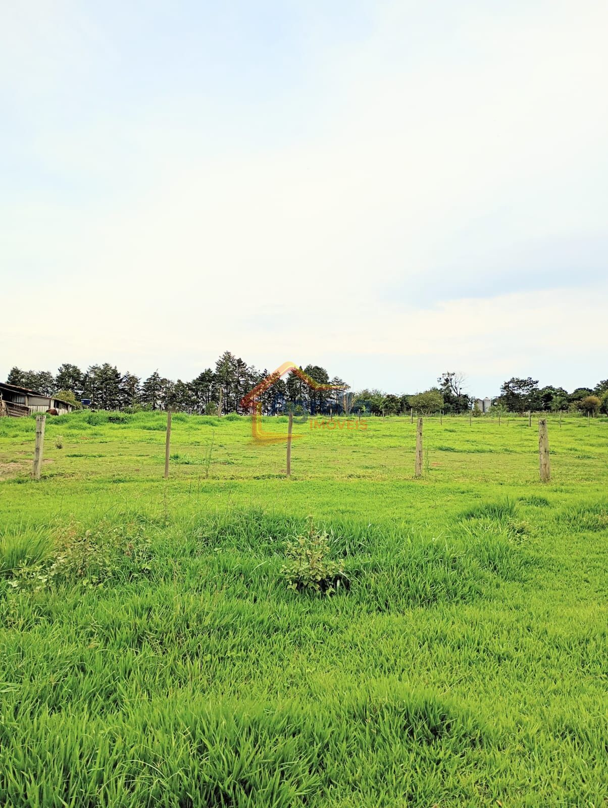 Chácara, 2 quartos, 2 hectares - Foto 14