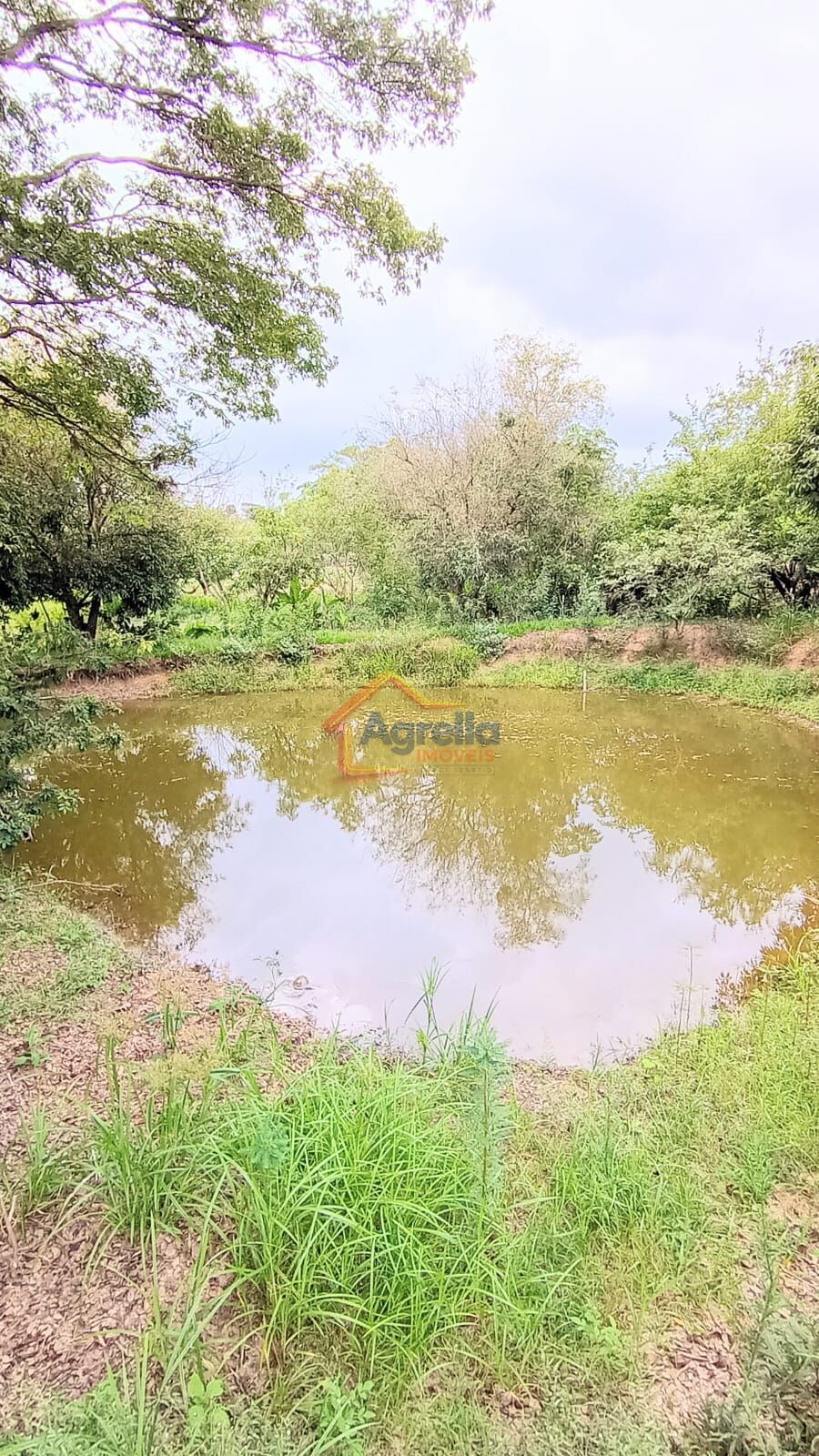 Chácara, 2 quartos, 2 hectares - Foto 7