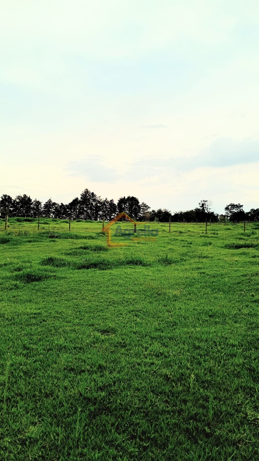 Chácara, 2 quartos, 2 hectares - Foto 12
