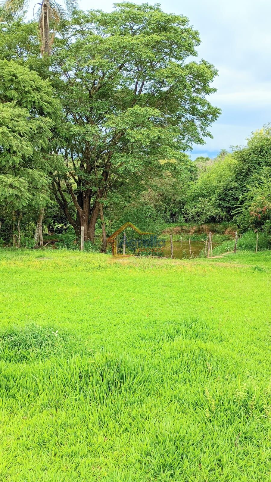 Chácara, 2 quartos, 2 hectares - Foto 17