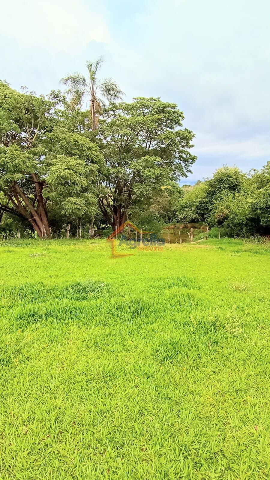 Chácara, 2 quartos, 2 hectares - Foto 38