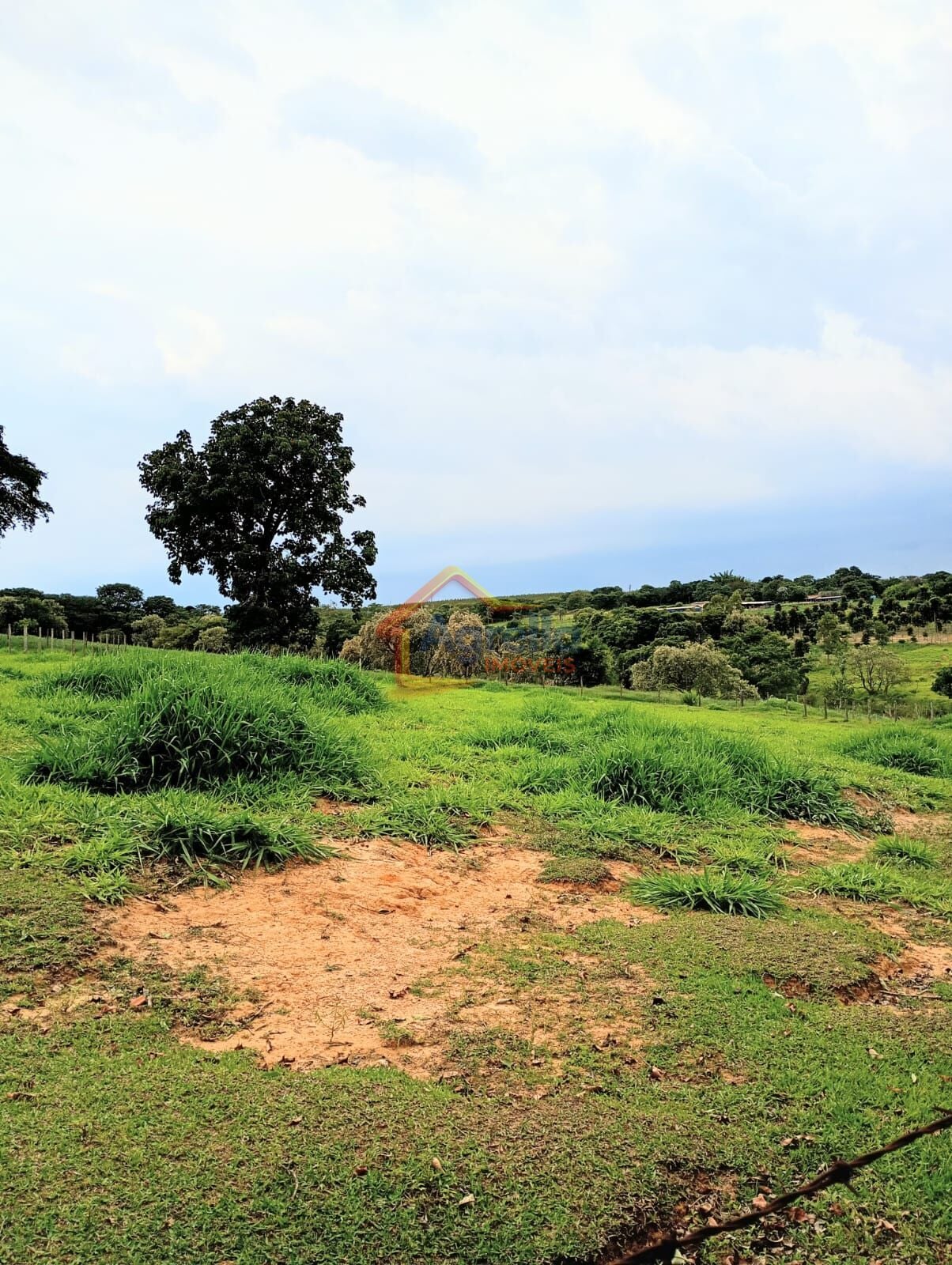 Chácara, 2 quartos, 2 hectares - Foto 18